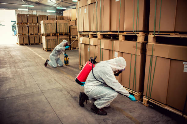 Trusted Manatee Road, FL Pest Control Experts