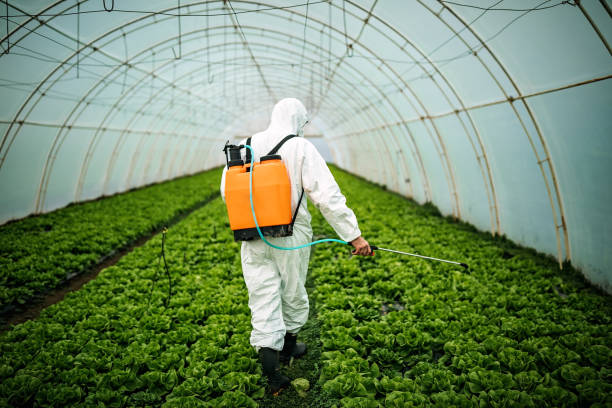 Best Pest Removal Services  in Manatee Road, FL