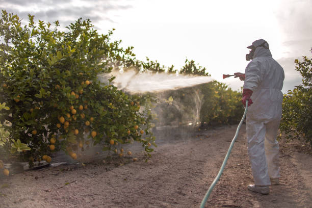 Best Mosquito Control Services  in Manatee Road, FL
