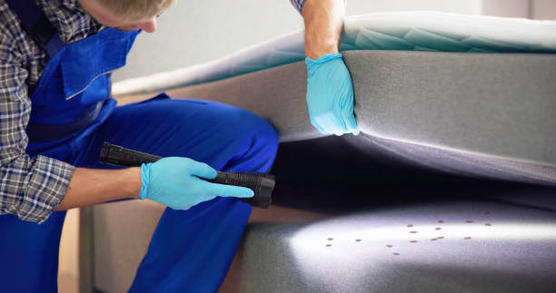 Best Emergency Pest Control  in Manatee Road, FL